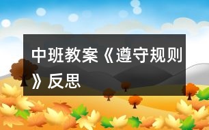 中班教案《遵守规则》反思