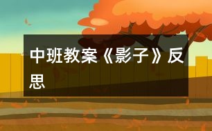 中班教案《影子》反思