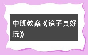 中班教案《镜子真好玩》