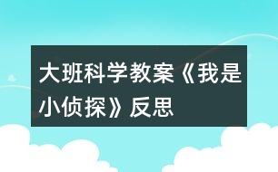 大班科学教案《我是小侦探》反思