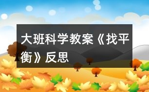 大班科学教案《找平衡》反思