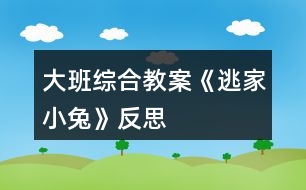 大班综合教案《逃家小兔》反思