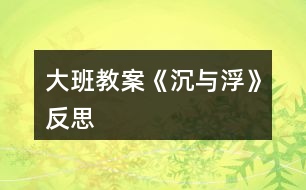 大班教案《沉与浮》反思