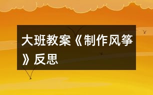 大班教案《制作风筝》反思