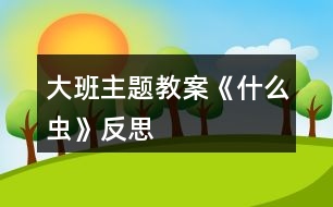 大班主题教案《什么虫》反思
